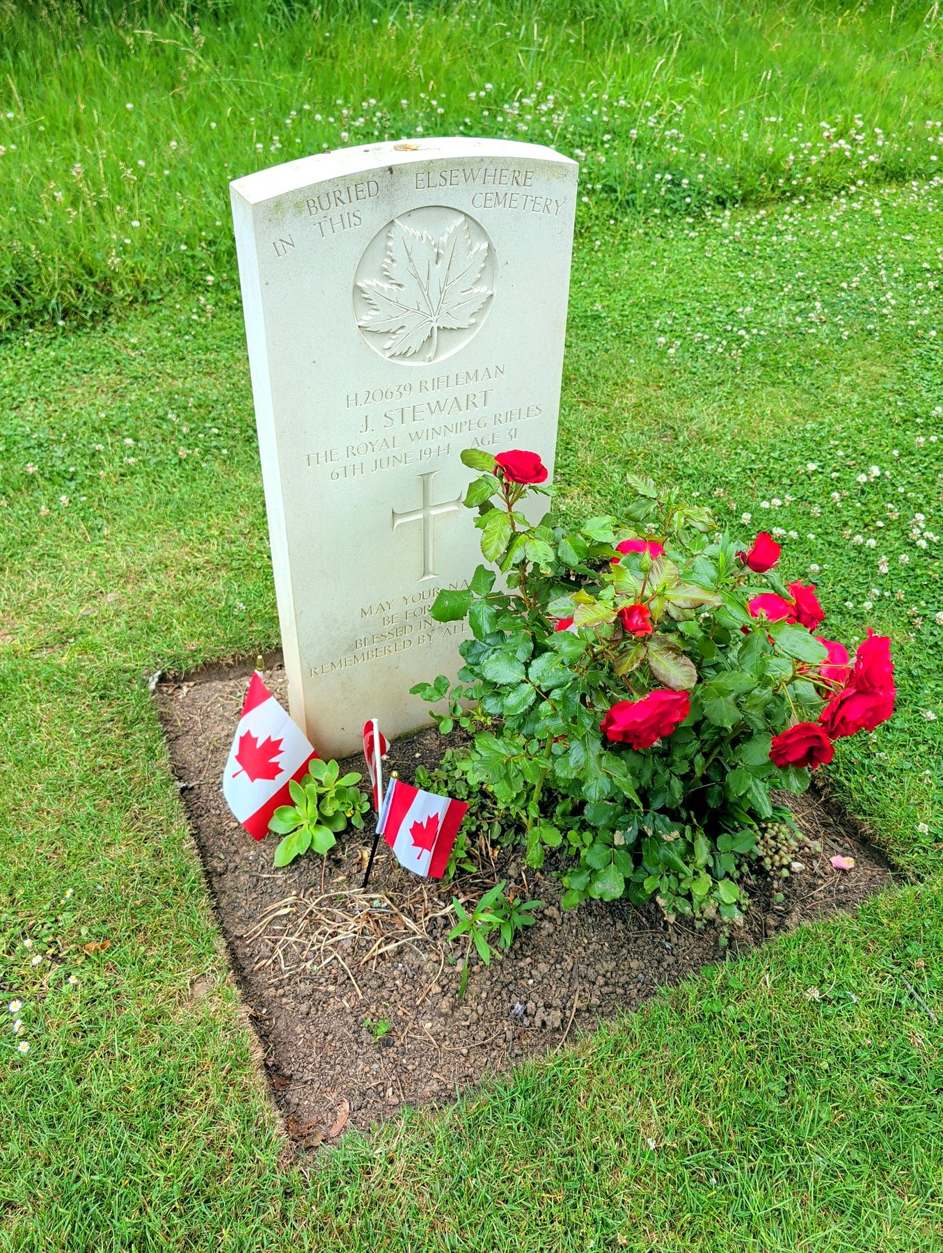 Rifleman Jack Stewart: Buried Somewhere Among His Comrades at Bény-sur-Mer